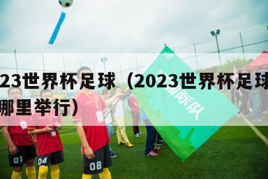 2023世界杯足球（2023世界杯足球赛在哪里举行）